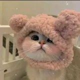 Творчество А.O.Х.